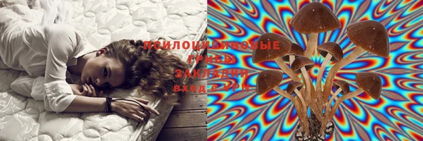 2c-b Гусь-Хрустальный