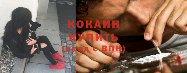 кристаллы Гусев