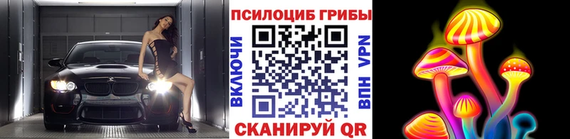 Псилоцибиновые грибы мухоморы  Губкин 