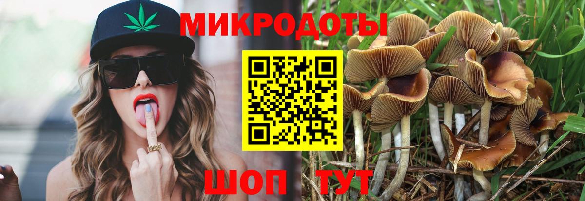 Галлюциногенные грибы Psilocybe  Вход с VPN  Губкин  Псилоцибиновые грибы GOLDEN TEACHER 