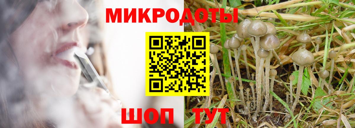 Галлюциногенные грибы мицелий Губкин