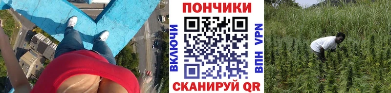 mega сайт  Губкин  МАРИХУАНА семена 