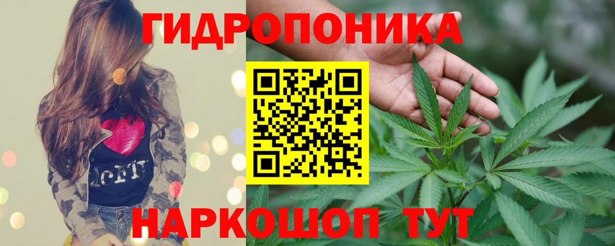 Бошки Шишки марихуана  Вход с VPN  Губкин  Конопля план 
